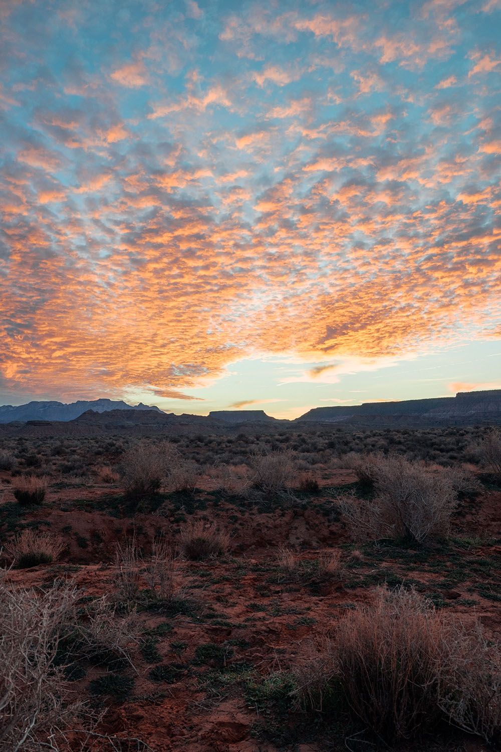 Spotted clouds over a desert landscape at sunset