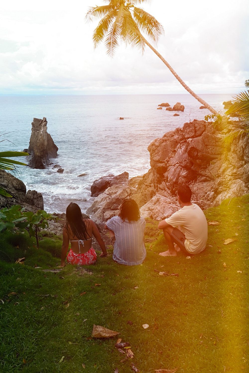 Three people sit on grassy cliffs overlooking the ocean, with a palm tree arching above and rocky coastlines in the distance under a cloudy sky