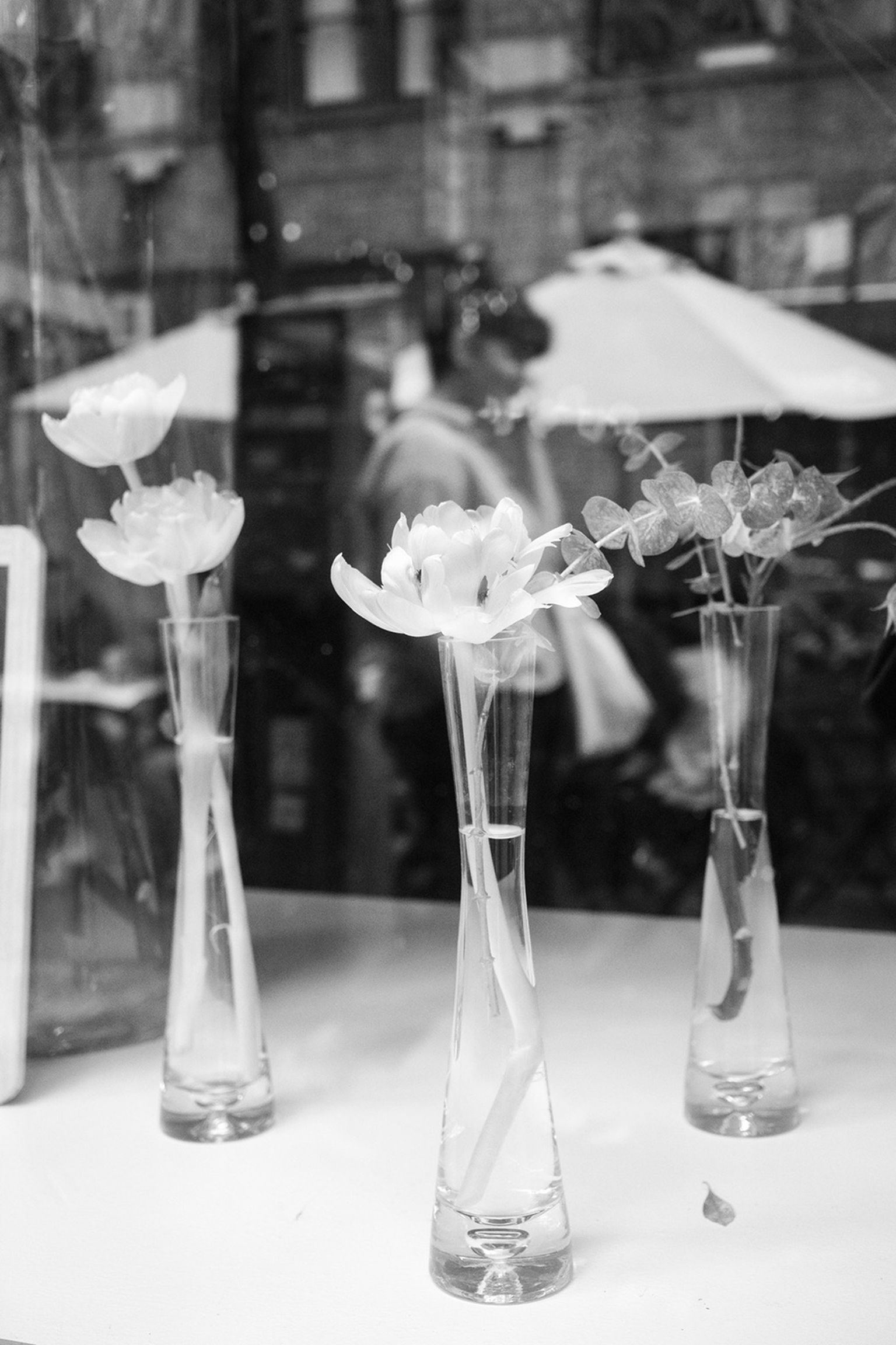 Three flowers in tall vases displayed in a storefront window, with blurred street view and a person reflected in the glass