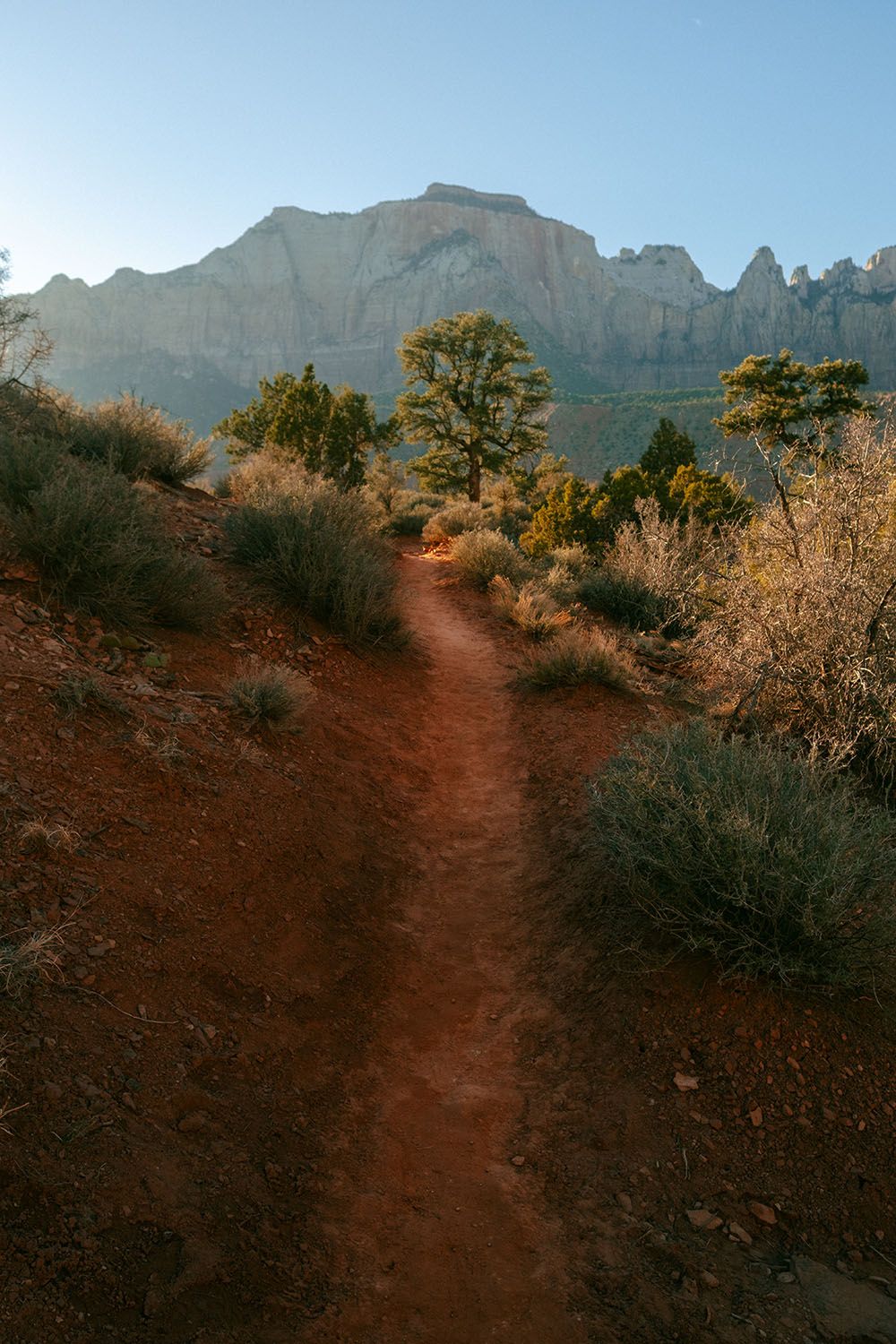 A sandy road leading through trees to a mountain