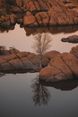 Gallery Image Thumbnail: 2
