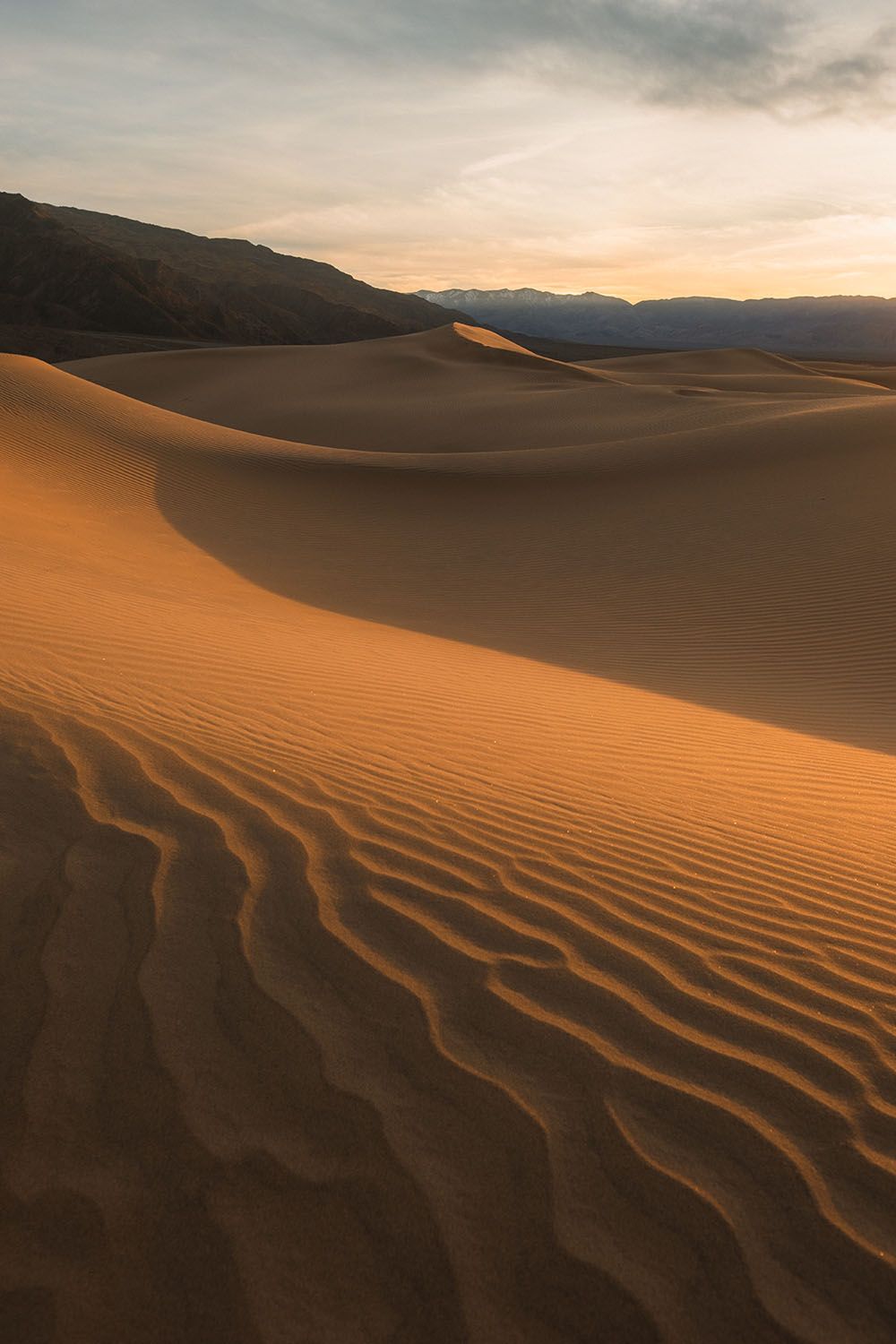 A sandy desert at sunset