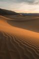 Gallery Image Thumbnail: 1