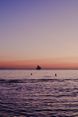 Gallery Image Thumbnail: 4