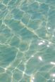Gallery Image Thumbnail: 1
