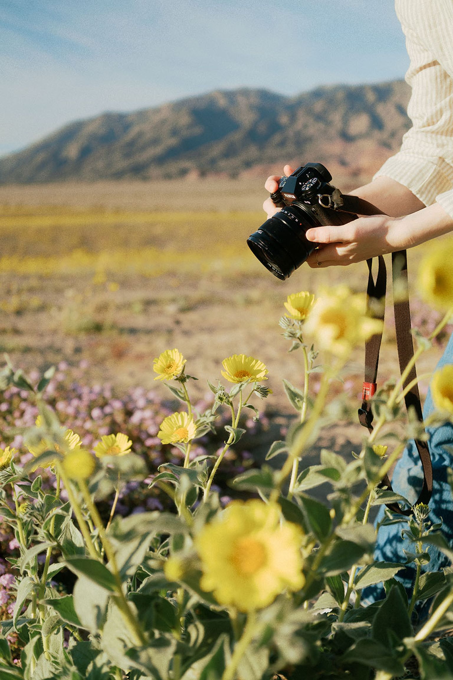 FAQs: FUJINON XF16mmF1.4 R WR for Landscape Photography