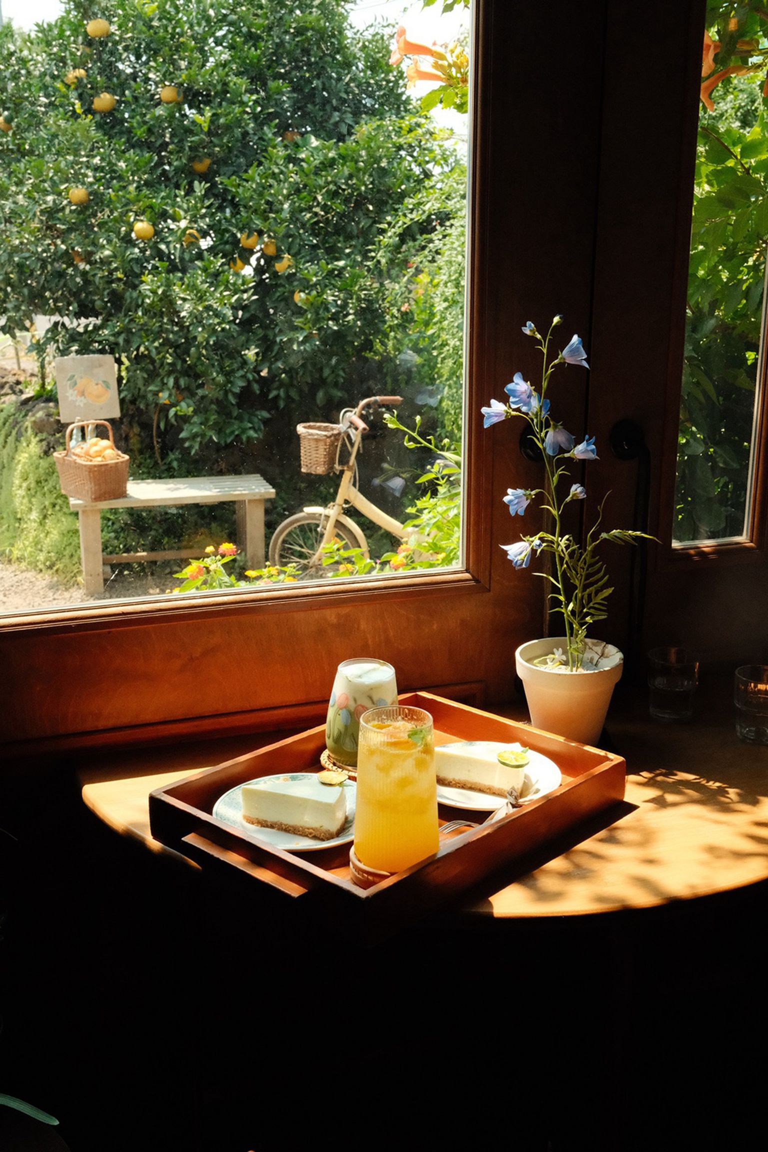 A tray with drinks and snacks on a wooden table by a window, overlooking a garden with a bicycle and an orange tree