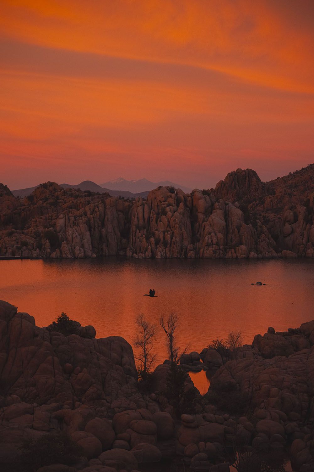 Birds in silhouette flying over a lake with mountains in the background at sunset