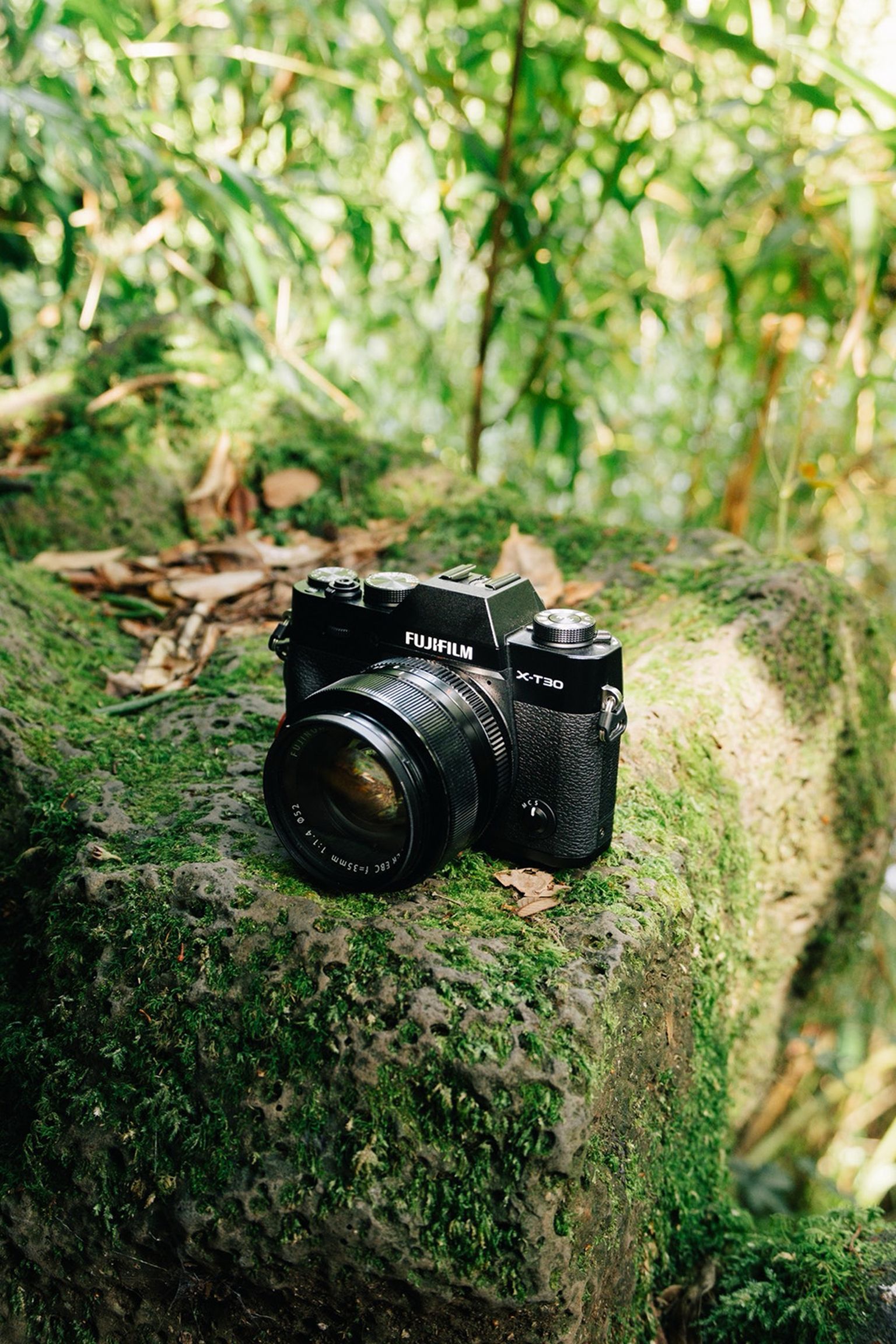 Camera placed on a moss-covered rock in a lush, green forest setting