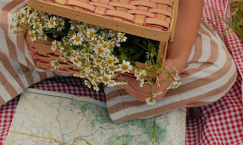 A person holds a woven basket with daisies on a red checkered blanket beside a detailed map. The person wears striped clothing.
