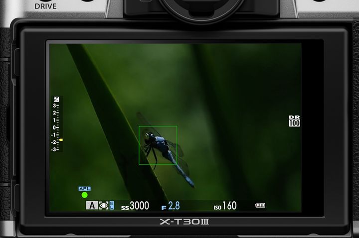 FUJIFILM X-T30 III displaying a close-up of a blue dragonfly perched on a green leaf, with focus settings visible.