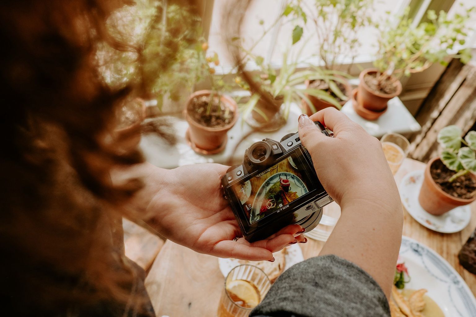 Person photographing food on a table with a camera, surrounded by potted plants