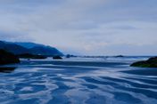 Gallery Image Thumbnail: 2