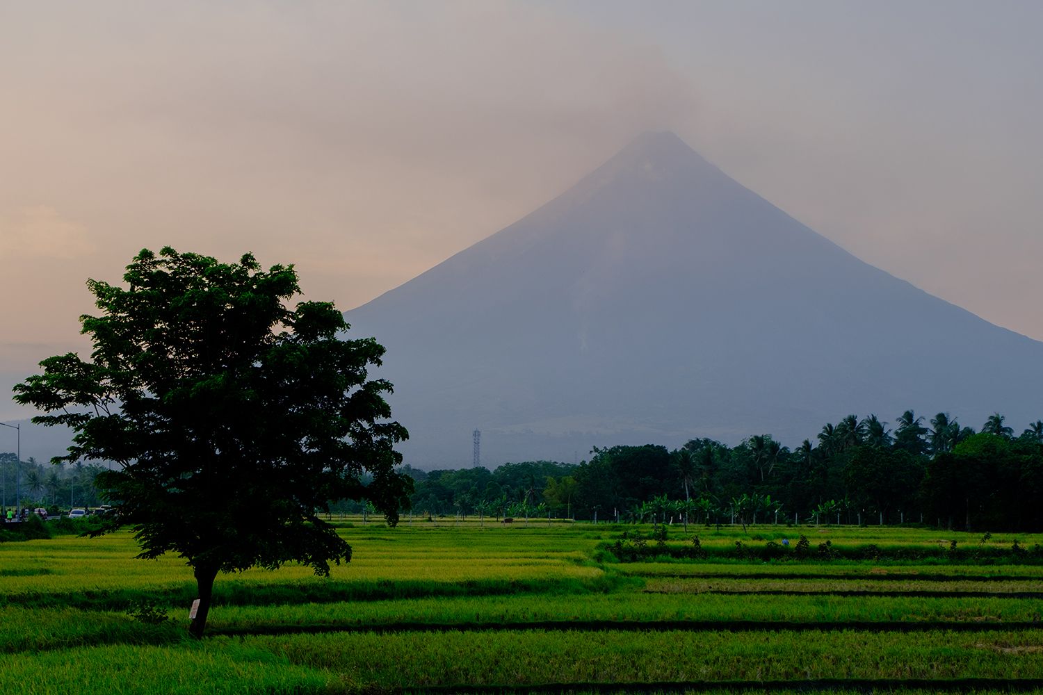 A solitary tree stands in lush green fields with a majestic, mist-covered volcano in the background under a serene sky