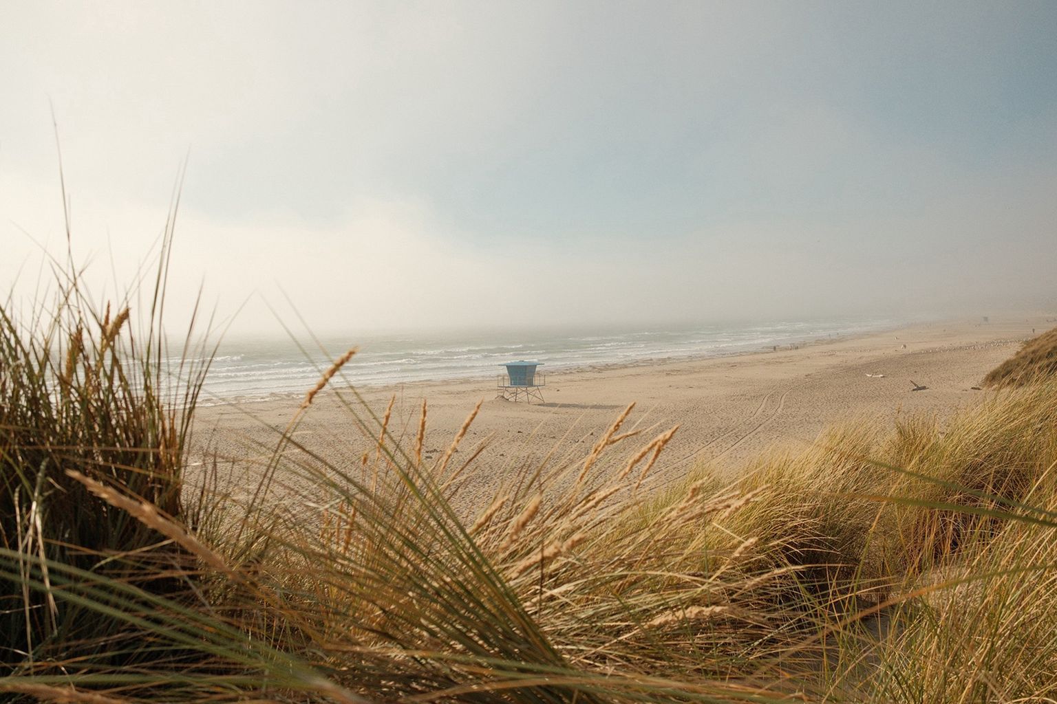 Beach scene with a sandy shore, grassy foreground, a blue lifeguard tower in the distance, and a hazy sky above the ocean waves