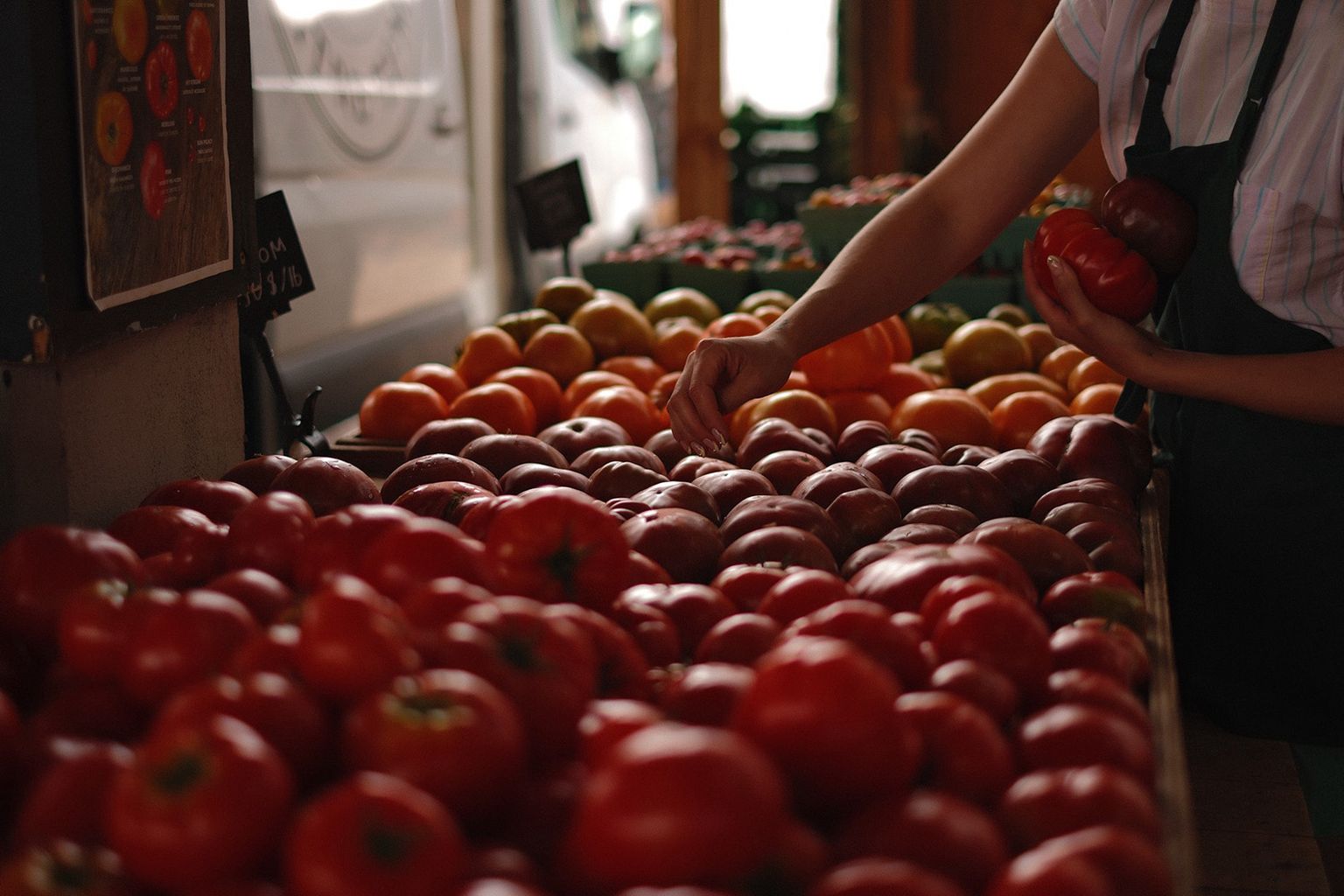Person selecting tomatoes from a market stall filled with various ripe tomatoes and produce under warm lighting