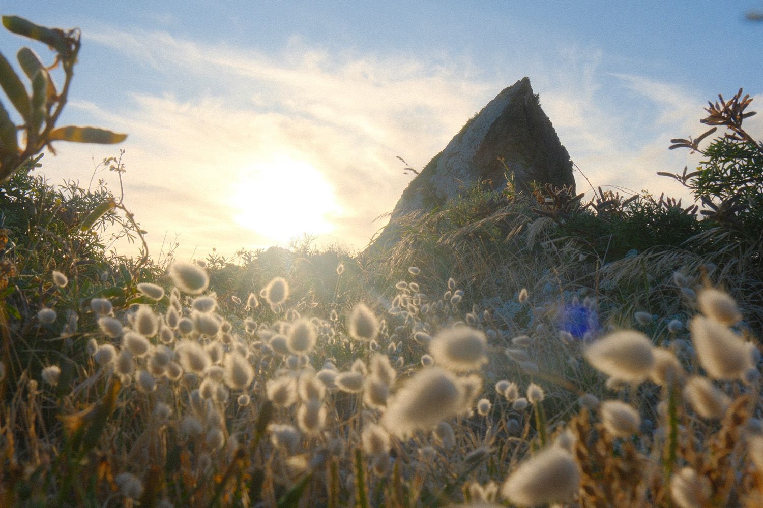 Sunset behind a rocky hill with delicate white wildflowers in the foreground