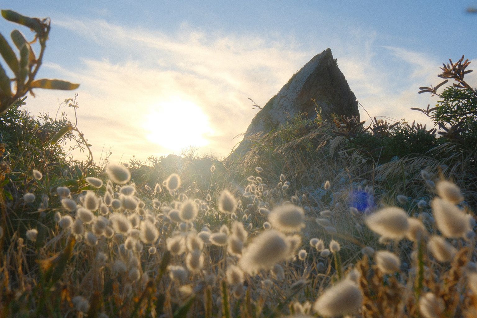 Which Fujifilm Lenses Are Best for Lifestyle Photography?