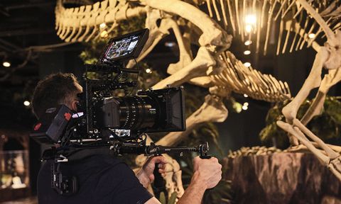 A person operates a professional video camera, filming a large dinosaur skeleton display in a museum setting