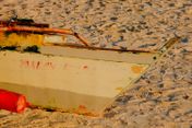 Gallery Image Thumbnail: 3