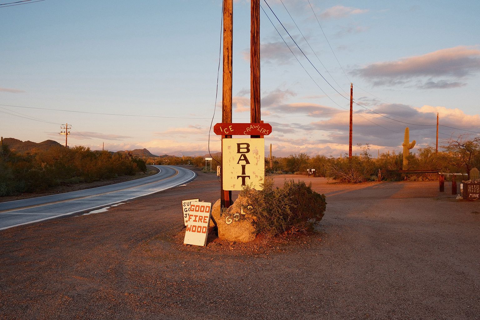Desert roadside at sunset with a sign near a curved road and cacti under a cloudy sky