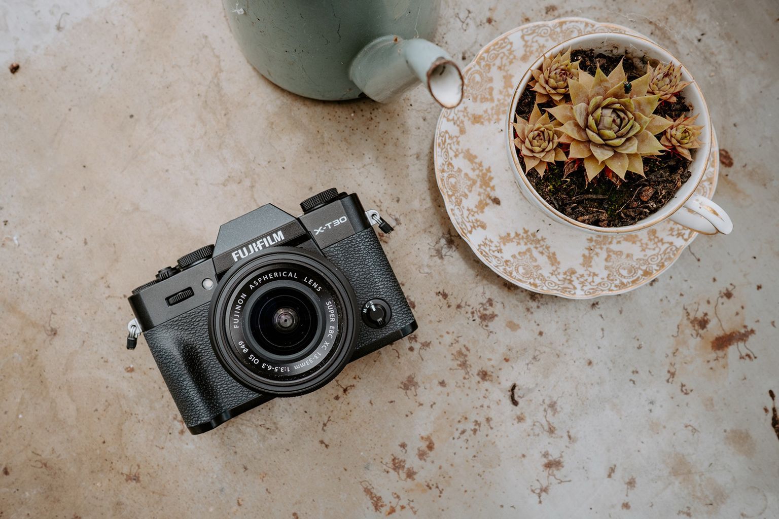 Fujifilm camera on a textured surface next to a tea cup filled with a small succulent plant