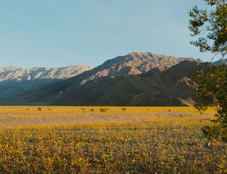 Best Wide Lenses for Landscape Photography