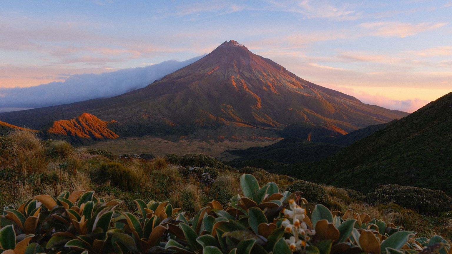 Mountain landscape at sunset with a prominent peak, clouds drifting by, and foreground of green foliage and flowers
