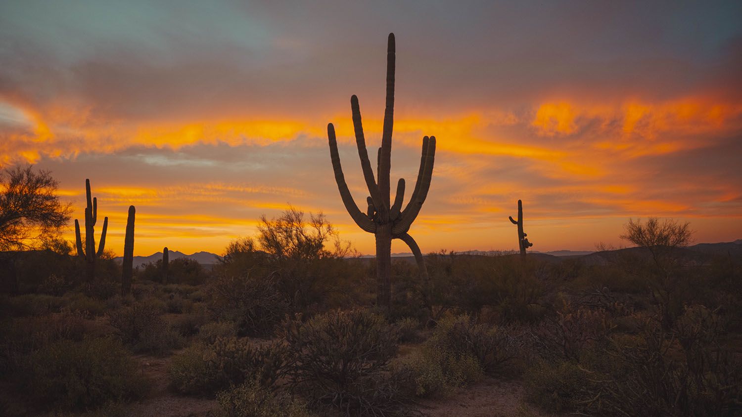 Benefits of Wide-Angle Lenses for Landscape Photography