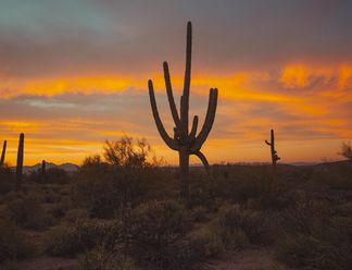 Creative Benefits of Wide-Angle Lenses for Landscape Photography