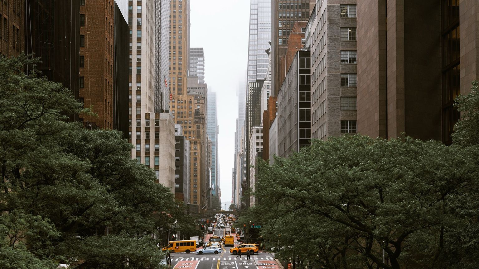 View of a New York street flanked by tall buildings, with yellow taxis and green trees lining the sidewalks