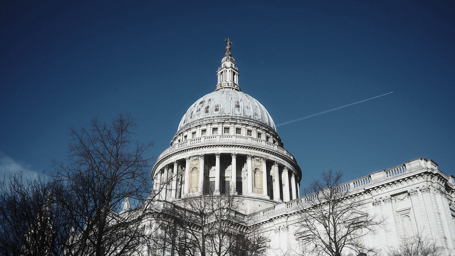 A large white domed building with classical architecture under a clear blue sky, partially framed by bare tree branches