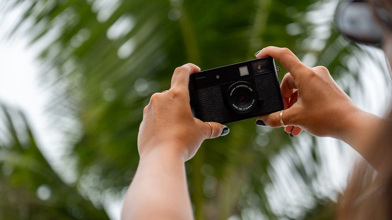 Hands holding a camera against a background of blurred palm leaves