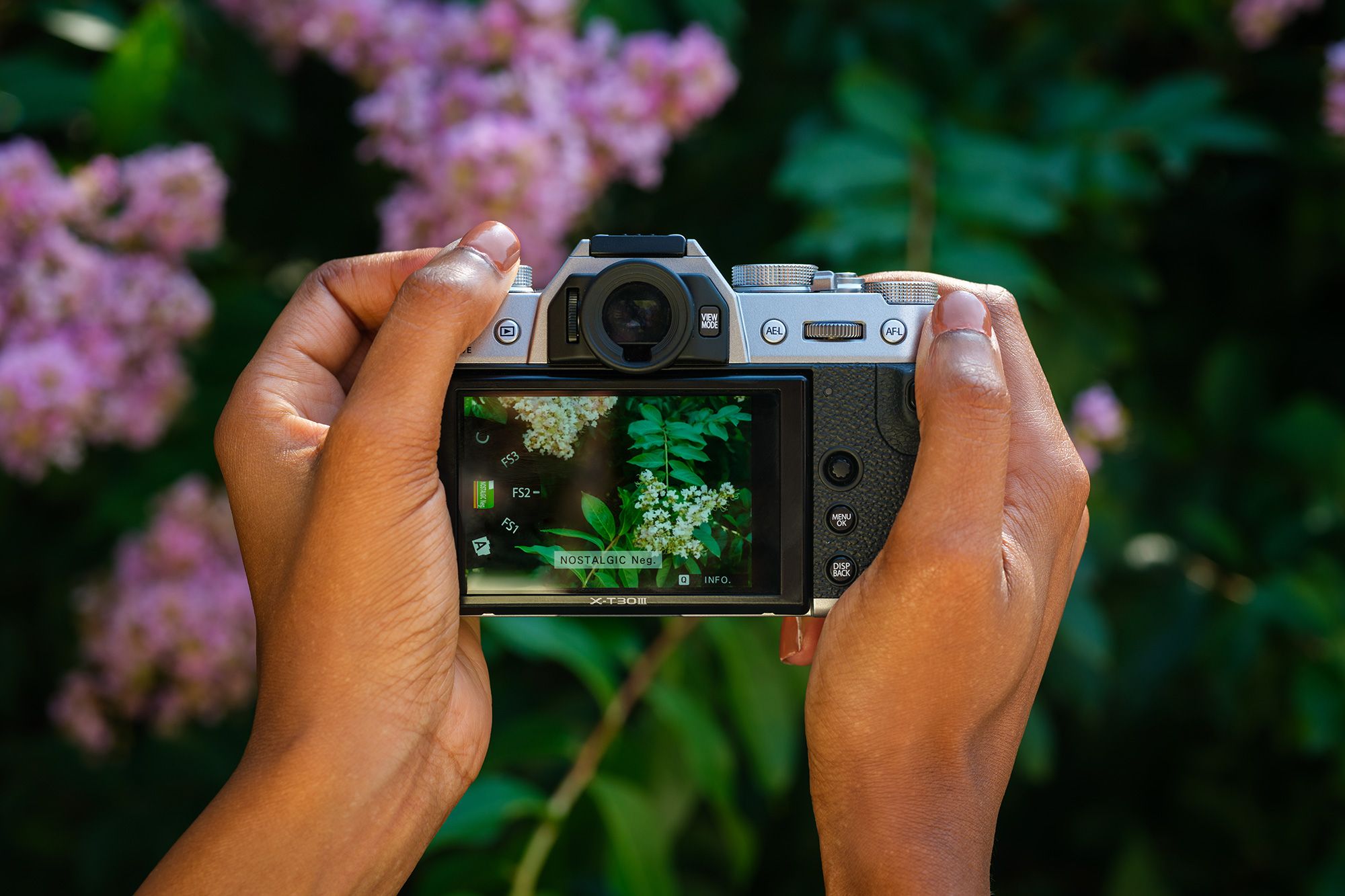 Hands holding FUJIFILM X-T30 III, photographing a close-up of pink flowers with green leaves in the background.