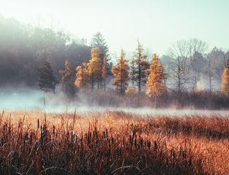 Why FUJIFILM X-T5 is a Top Choice for Outdoor and Travel Photography