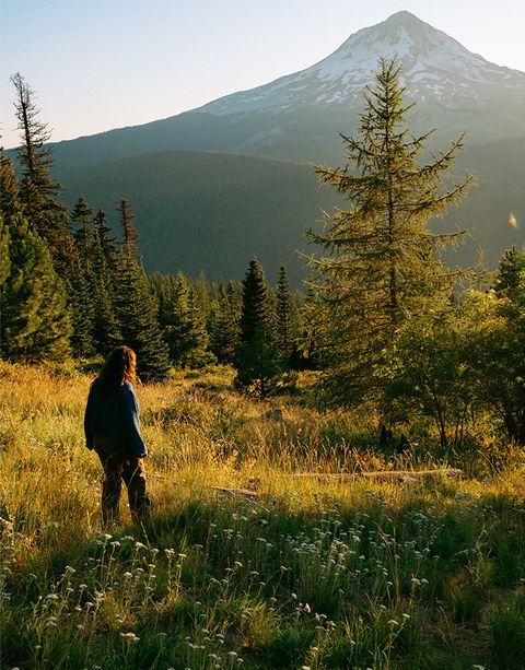 A person walks through a sunlit meadow towards a snow-capped mountain, surrounded by tall trees under a clear blue sky.