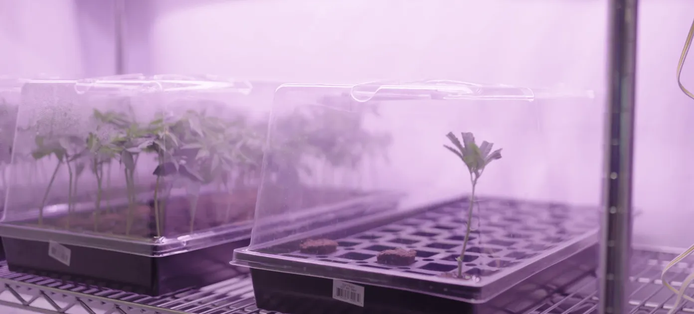 On the farm with Power BioFarms