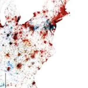Drug overdoses reached a new high in America last year, eclipsing 70,000 in total. Synthetic opioids such as fentanyl have become the leading cause of drug overdoses, and the issue has spread from urban centers to rural and suburban areas across America. The Guardian’s team walks us through how the situation has gotten so dire, and what’s being done to reverse it.